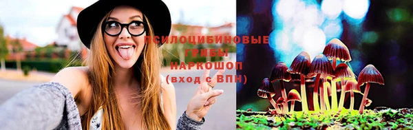 марки nbome Пролетарск