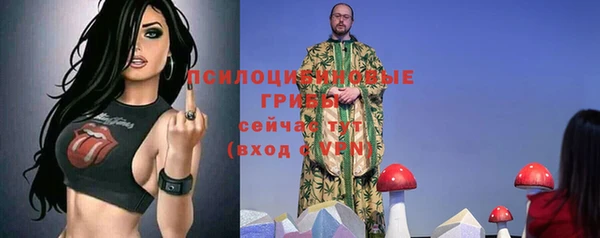 ПСИЛОЦИБИНОВЫЕ ГРИБЫ Приозерск