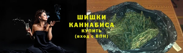 ПСИЛОЦИБИНОВЫЕ ГРИБЫ Приозерск