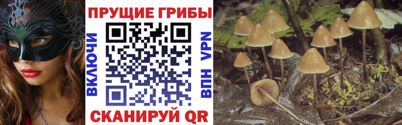 Псилоцибиновые грибы мухоморы  Сорочинск 
