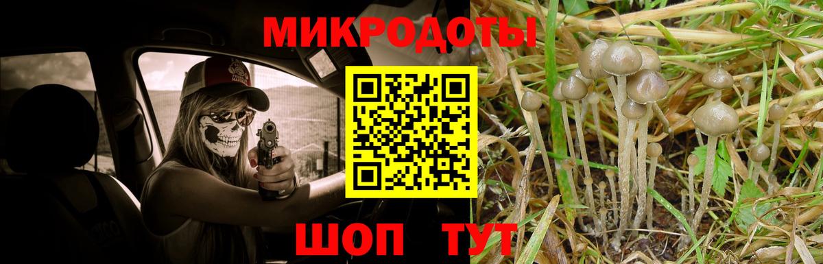 Сорочинск  купить наркоту  Вход с VPN  Галлюциногенные грибы Cubensis 